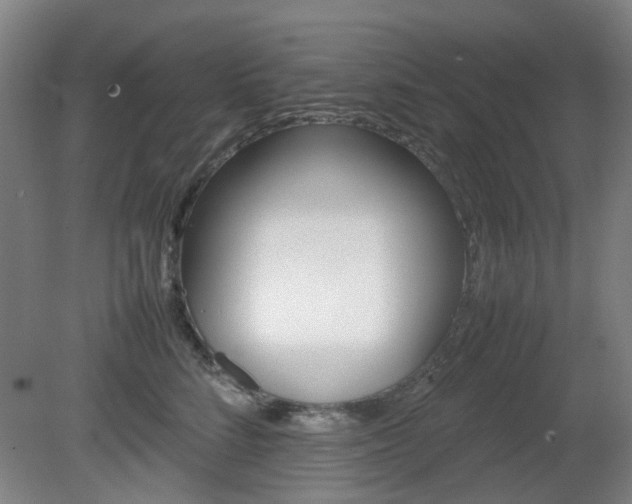 X0000082140712200701190958