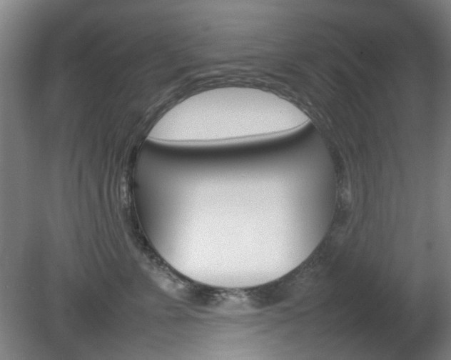 X0000082140715200701190958