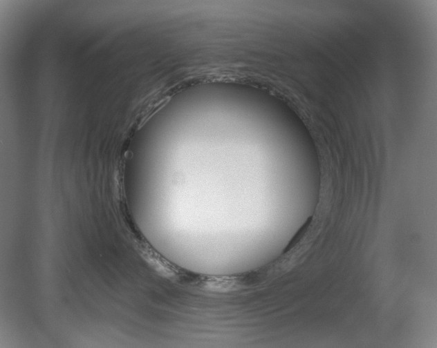 X0000082140720200701190958