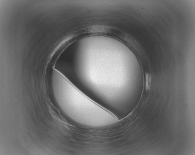 X0000082140723200701190957