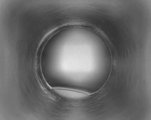 X0000082140724200701190957
