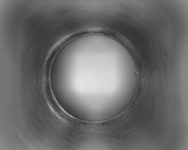 X0000082140728200701190957