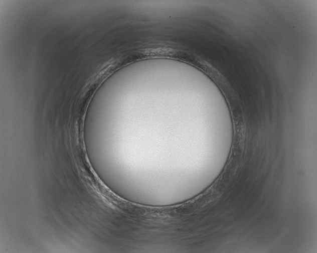 X0000082140729200701190957