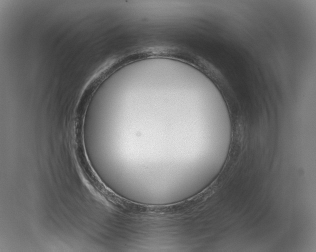X0000082140730200701190957