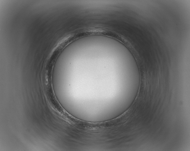 X0000082140731200701190957