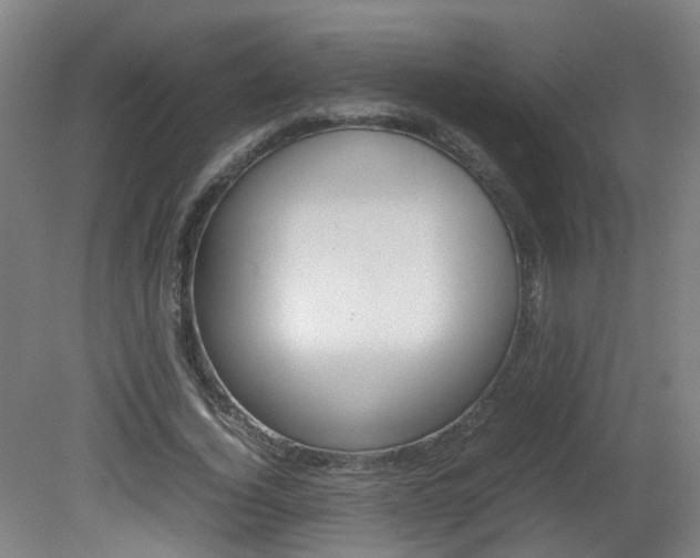 X0000082140732200701190957