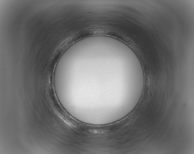 X0000082140733200701190957