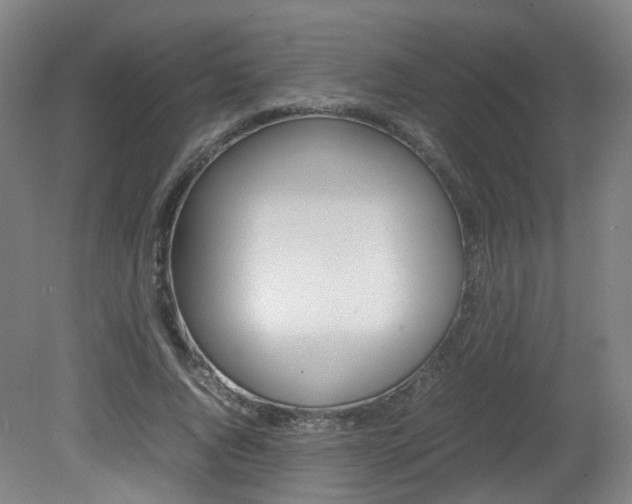 X0000082140736200701190957