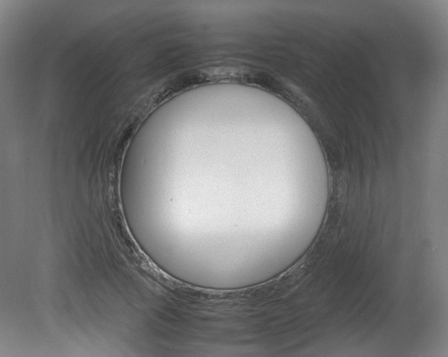 X0000082140737200701190957