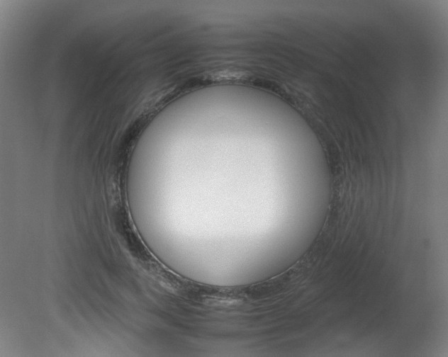 X0000082140743200701190957