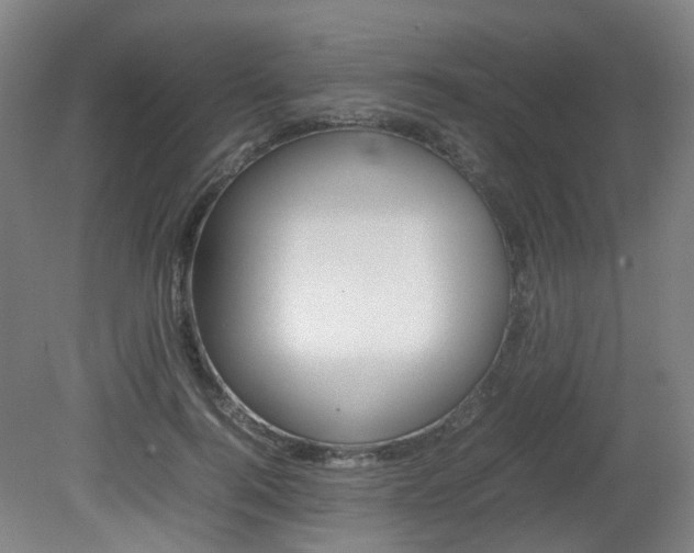 X0000082140744200701190957