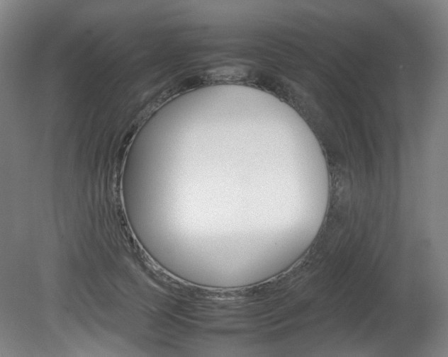X0000082140745200701190957