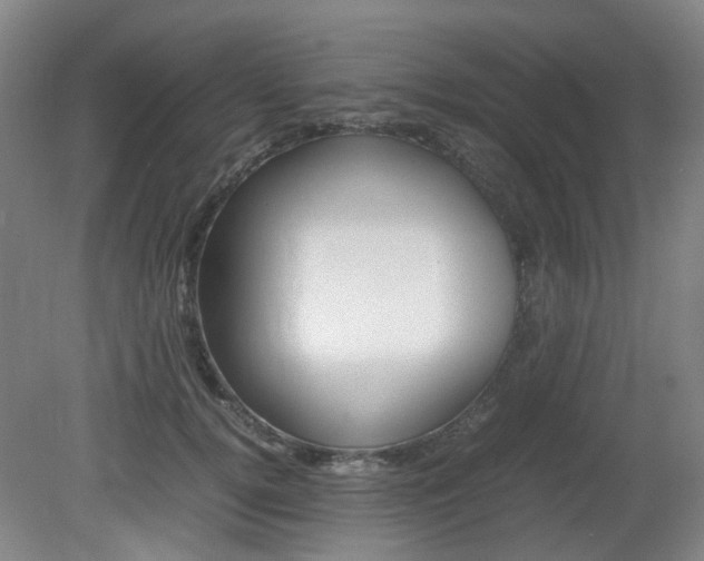 X0000082140752200701190957