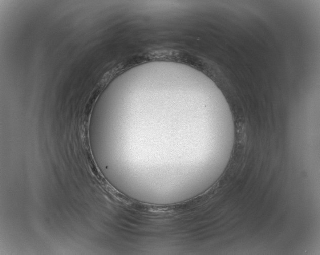 X0000082140753200701190957