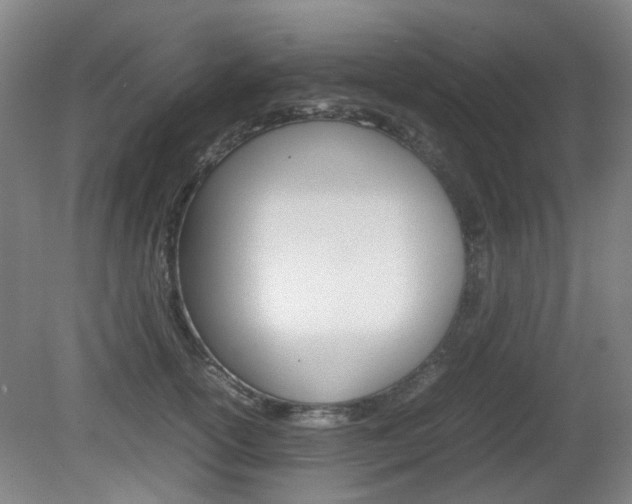 X0000082140754200701190957
