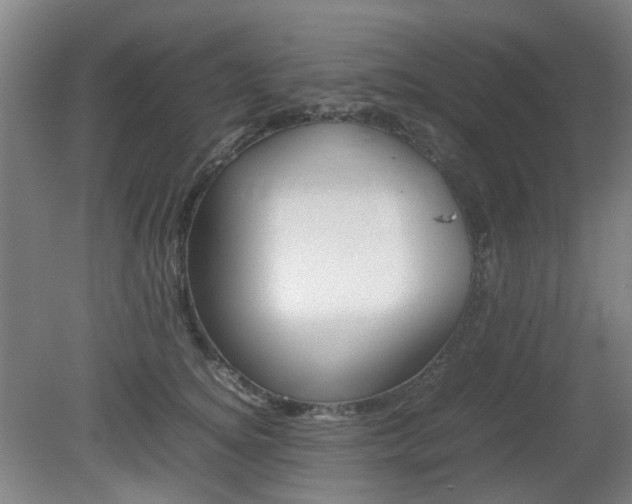 X0000082140756200701190957