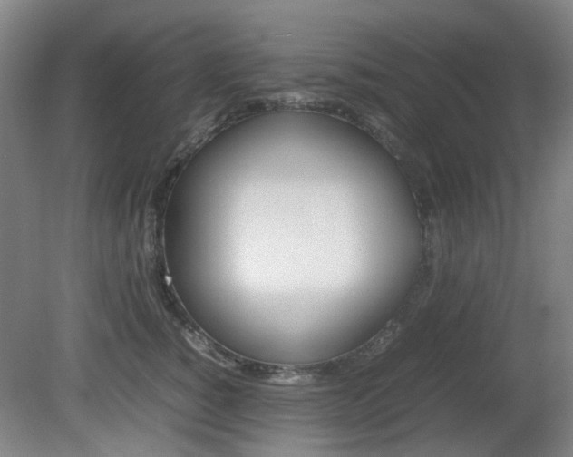 X0000082140760200701190957
