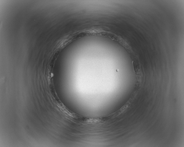 X0000082140762200701190957