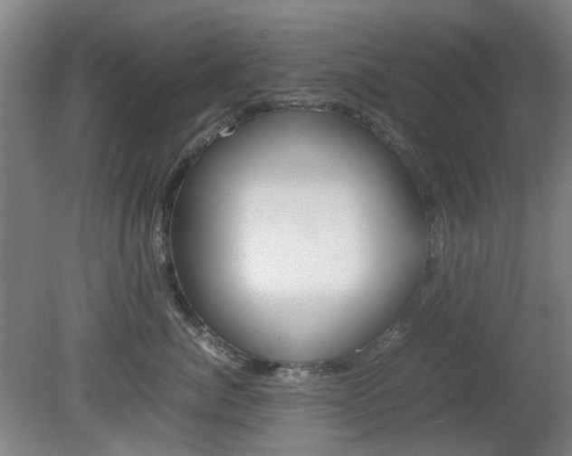 X0000082140764200701190958