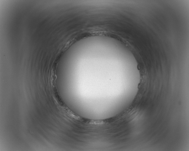 X0000082140767200701190958