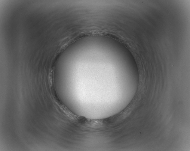X0000082140768200701190958