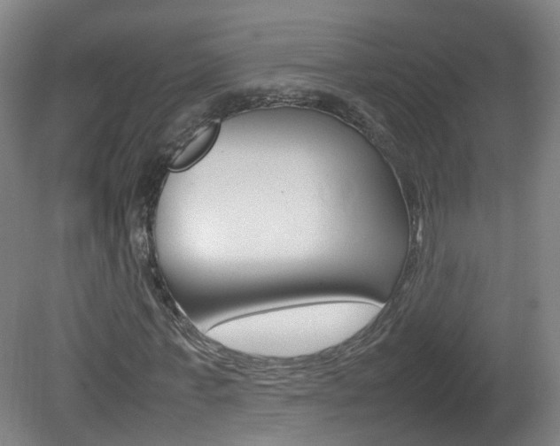 X0000082140771200701190957