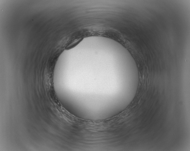 X0000082140772200701190957
