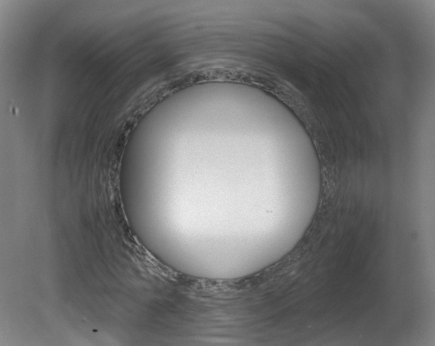 X0000082140774200701190957