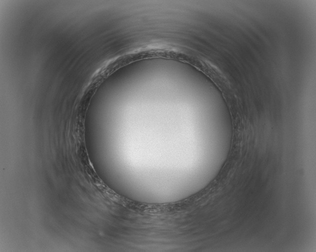 X0000082140776200701190957