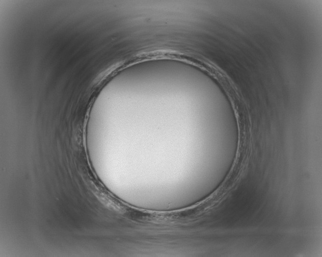 X0000082140785200701190957