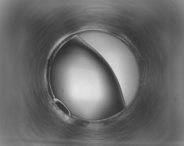 X0000082140788200701190956