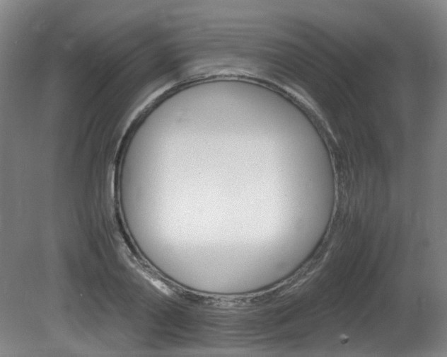 X0000082140790200701190956