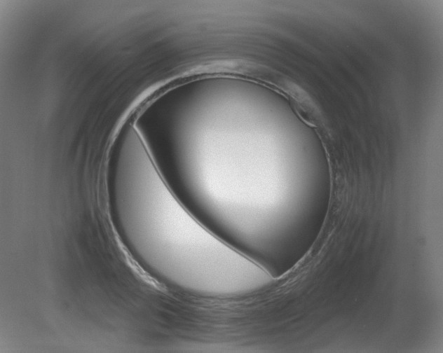 X0000082140792200701190956