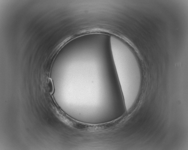 X0000082140793200701190956