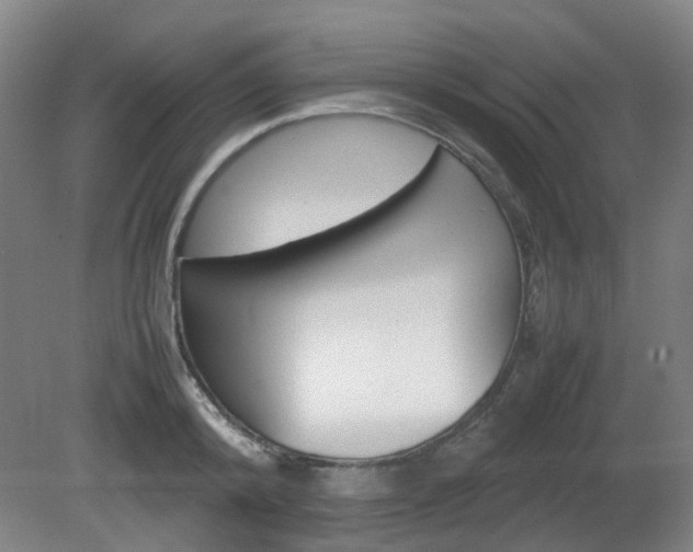 X0000082140800200701190956