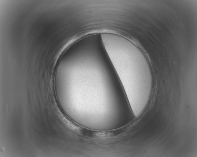 X0000082140805200701190956