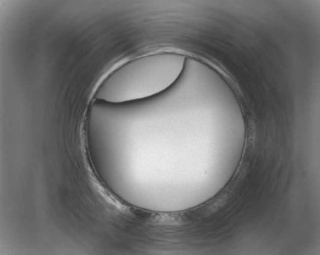 X0000082140806200701190956