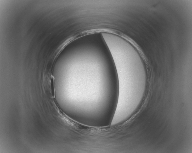 X0000082140809200701190956
