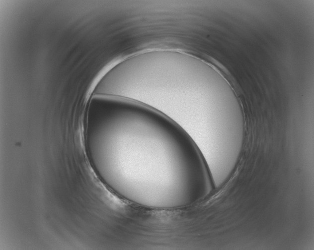 X0000082140812200701190956