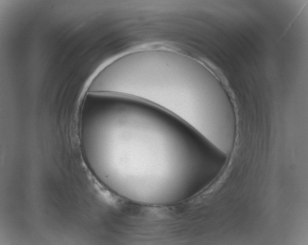 X0000082140816200701190956