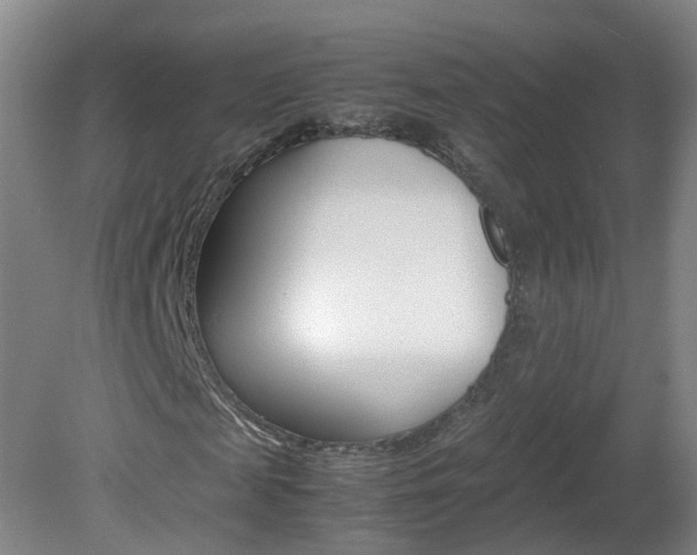 X0000082140817200701190955