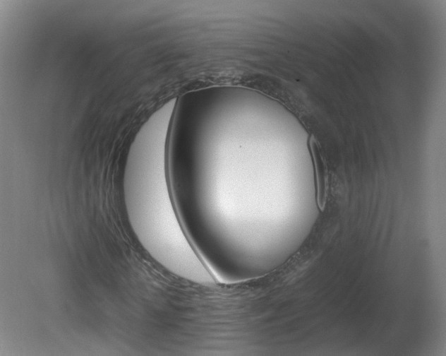 X0000082140818200701190955