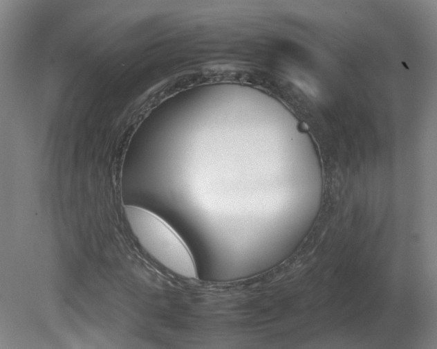 X0000082140821200701190955