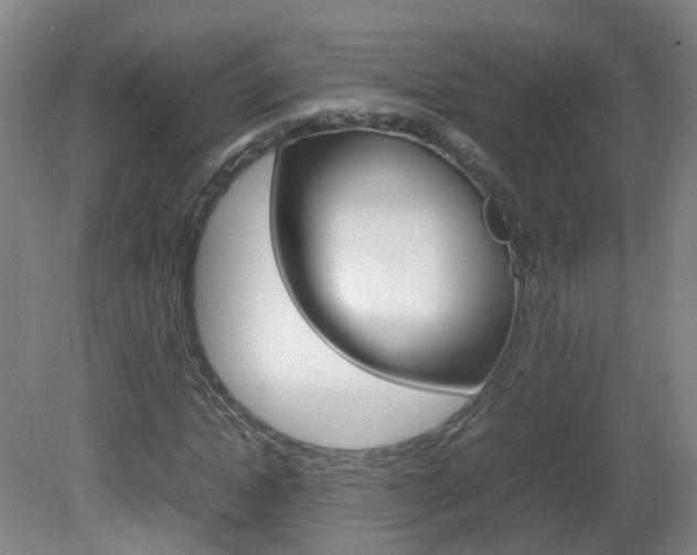 X0000082140822200701190955