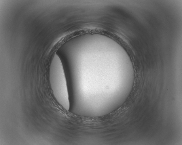 X0000082140823200701190955