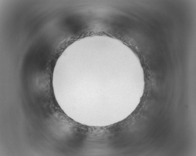 X0000082140824200701190955