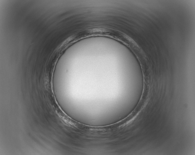 X0000082140825200701190955