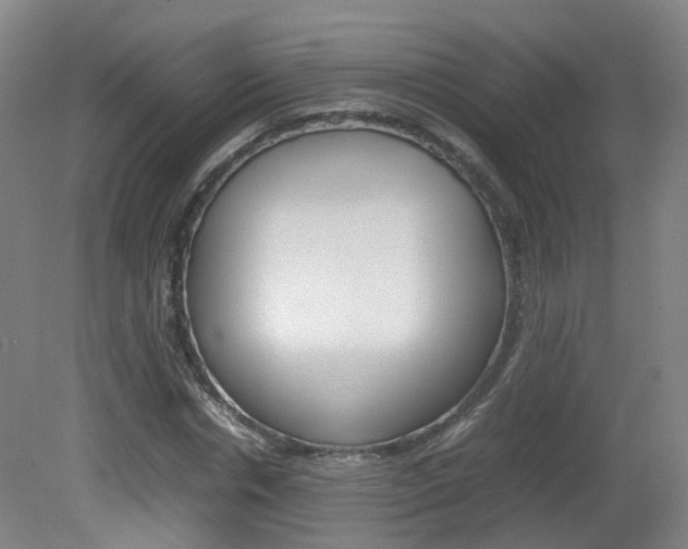 X0000082140826200701190955