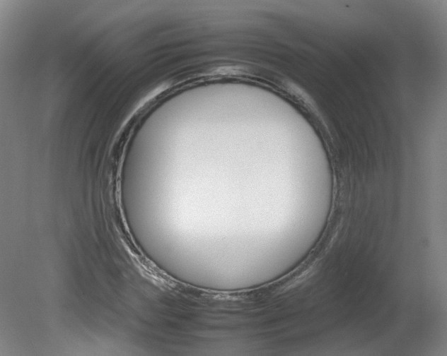 X0000082140827200701190955