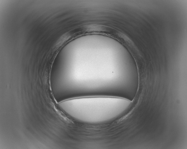 X0000082140833200701190955